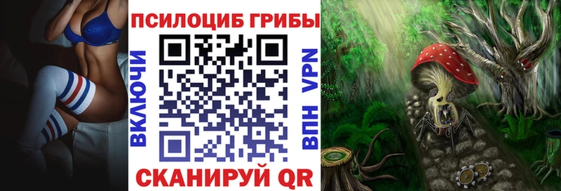 Купить  Корсаков  Псилоцибиновые грибы прущие грибы 